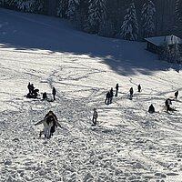 Sch&uuml;ler sind mit Schlitten auf dem Schneeh&uuml;gel