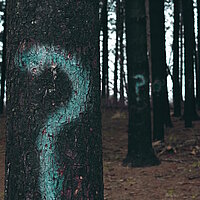 Fragezeichen in einem dunklen Wald Fragezeichen  neonfarben auf B&auml;ume gezeichnet